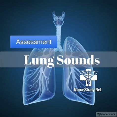 Normal And Adventitious Lung Sounds Tutorial For Nursing Students