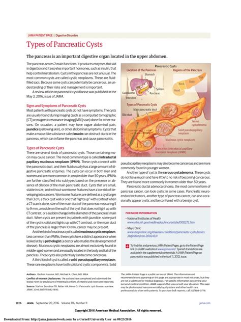Types Of Pancreatic Cysts Pancreas Pancreatic Cancer