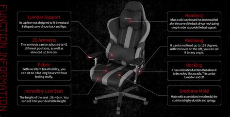 Gaming Chair Pro Series Rs 950rr Bauhütte®