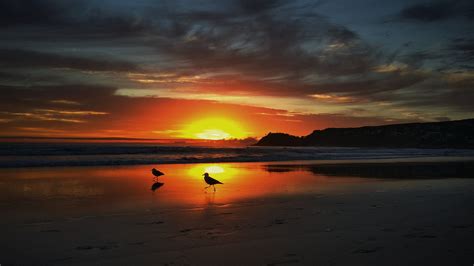 Beautiful Sunrise Over Manly Beach ‪‎manlybeach‬ ‪‎paradise