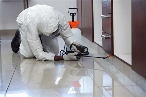 Our treatment is applied with pinpoint precision using methods based on pest behavior, habitats and lifecycle. Important Questions to Ask the Best Pest Control Company ...