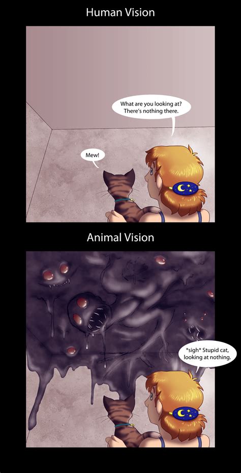 So we have found the funniest cat memes on the internet, for your personal enjoyment. Just for fun pic: Human Vision vs Animal Vision