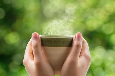 Drinking Tea May Alter Womens Gene Expression