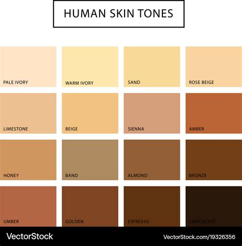 Human Skin Tones Chart
