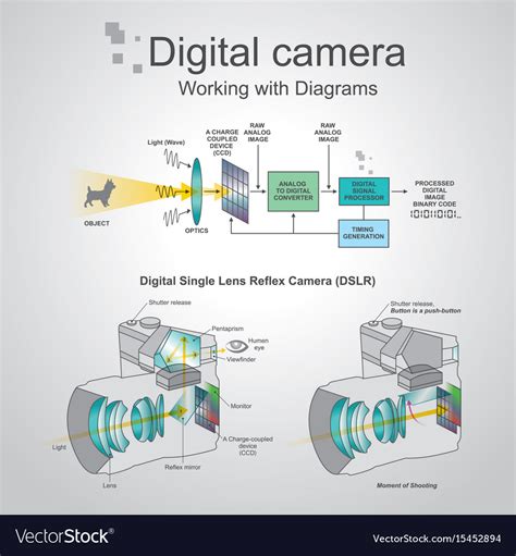 Digital Camera Working With Diagrams Royalty Free Vector