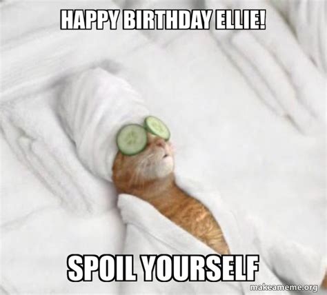 Happy Birthday Ellie Spoil Yourself Pampered Cat Meme Make A Meme