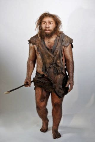 Recent Sightings Of Neanderthals Ancient Humans Neanderthal