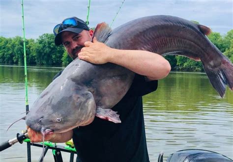 Ohio Man Catches Record Breaking Blue Catfish In West Virginia Mercer