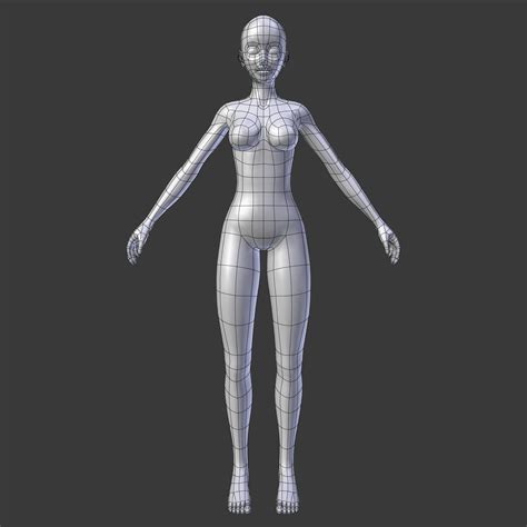 Stylized Humanoid Base Mesh Female 3d Model 3d Model Character 3d Model Character Modeling