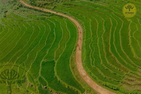 Exploring Urban Landscapes on E-Bikes: Unveiling the Hidden Charms of