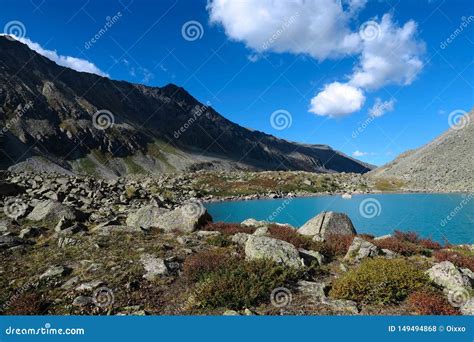Picturesque Blue Mountain Lake Altai Mountains Siberia Russia Stock