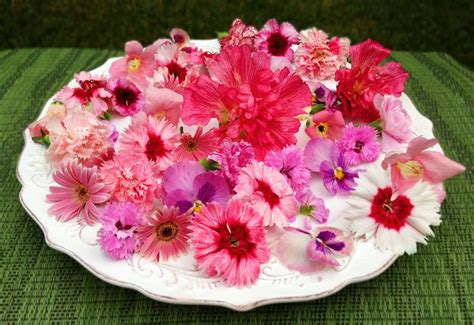 Did you know you can also deliver an edible bouquet to your loved ones? 17 Best images about Fresh Edible Flowers on Pinterest ...