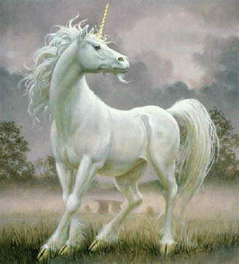 Resultado De Imagen Para Unicornio Mitologia Griega Animales