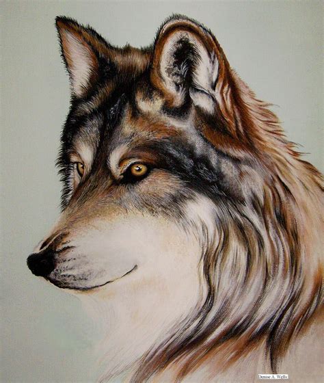 Wolf Stare Acrylic Painting Wolf Painting Animal Paintings Acrylic