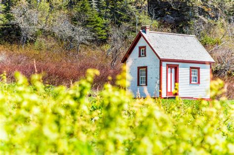 What To Look For In A Piece Of Land For Your Tiny Home Adorable