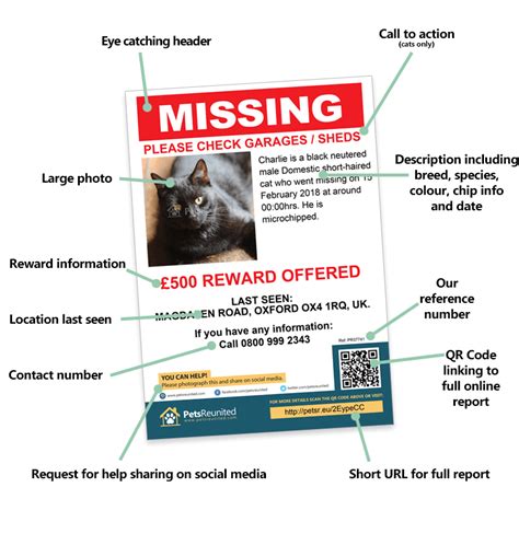 Oh wait, maybe that's because this cat is actually a possum? Lost pet posters and flyers for your missing pet ...