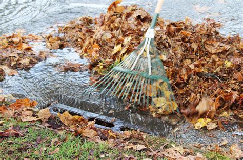 Yard Waste Collection For Seattle Customers This November