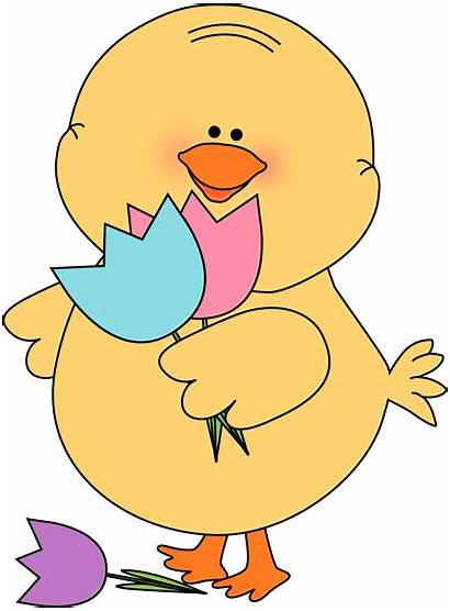 Clip Easter Chick Clipart Egg Spring Tulips