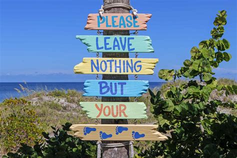 5 Sustainable Florida Travel Ideas Where You Can Help The Environment