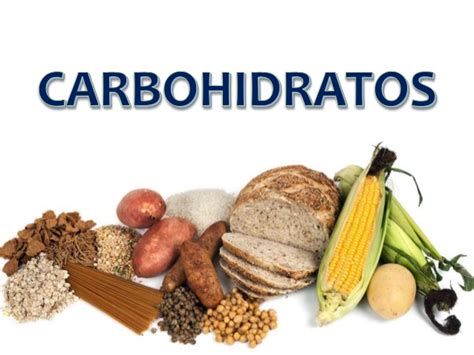 Carbohidratos Y Sus Porciones Adecuadas