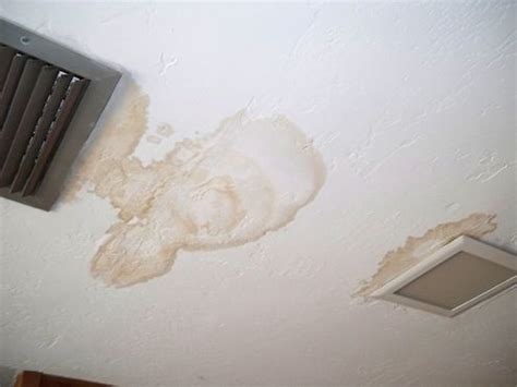 I would use a water + dish soap + bleach solution and thoroughly clean the ceiling. Bob Vila Radio: Water Spots - Bob's Blogs | Water stain on ...