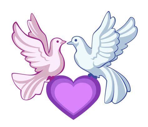 Two Doves With A Heart Stock Photos Pictures And Royalty Free Images