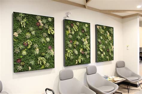 Preserved Moss And Succulents Green Wall Vancouver Office Decor