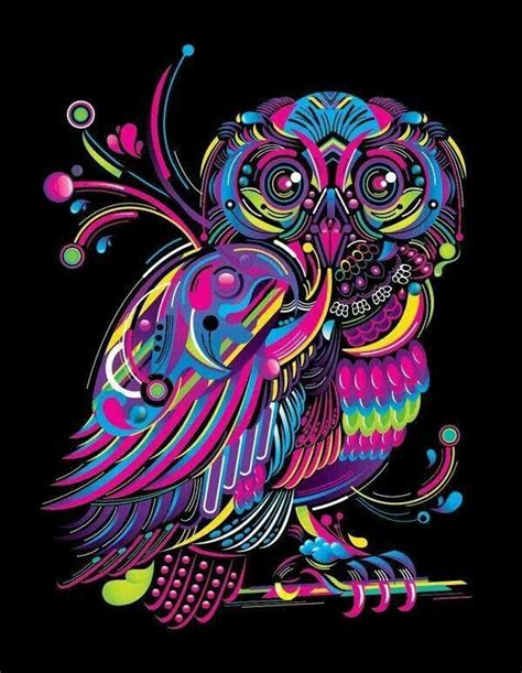 Blacklight Alike Bold Colorful Owl Owl Art Owl Wallpaper Owl Artwork