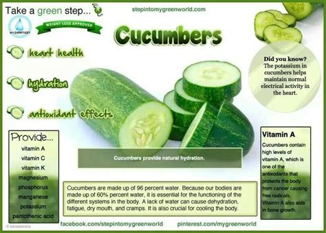 Cucumbers Cucumber Health Benefits Infographic Health Health And