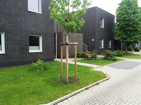 650 € 51 m² 2 zimmer. 4-Zimmer-Wohnung in Oldenburg - L&S Immobilien Bad Zwischenahn