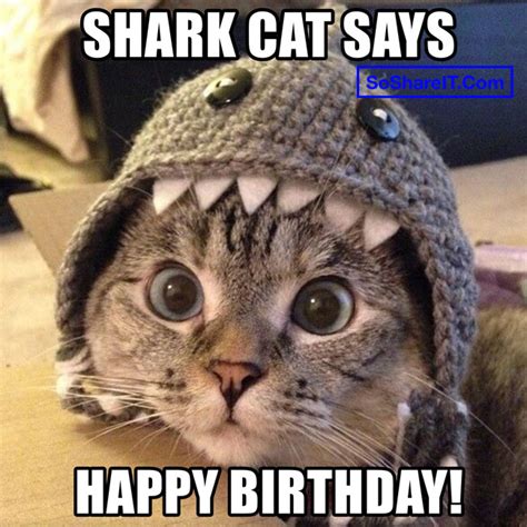 55 Happy Birthday Cat ️ Wishes Quotes Images And Memes