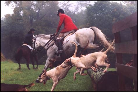 Love This Picture The Fox And The Hound Horses Fox Hunting