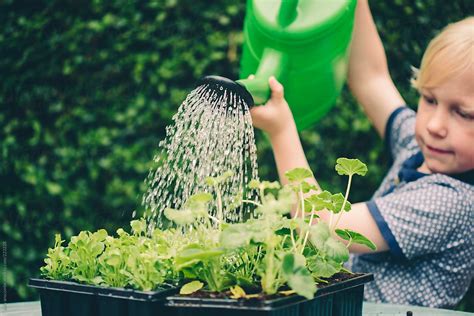 Boy Watering Flowers