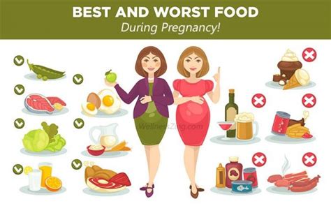 list of foods to eat and avoid during pregnancy wellnesszing