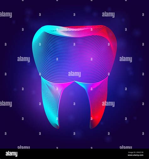 Human Tooth Medical Structure Outline Vector Dental Illustration In 3d
