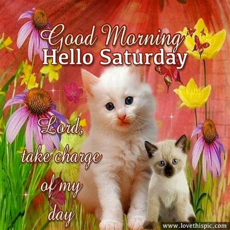 Good Morning Hello Saturday Pictures Photos And Images For Facebook