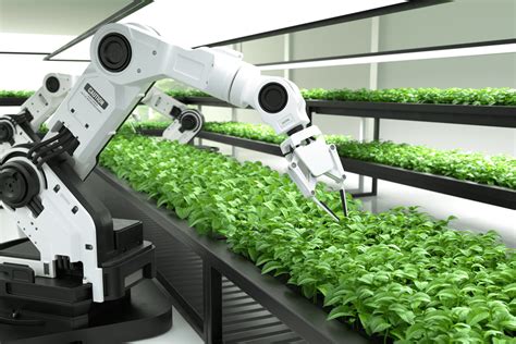 How Ai Is Transforming The Agriculture Industry Mindy Support Outsourcing