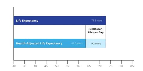 What Is Lifespan And Healthspan And How Are They Connected Invivo