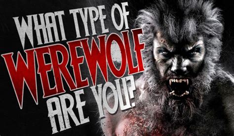 What Type Of Werewolf Are You Quizer