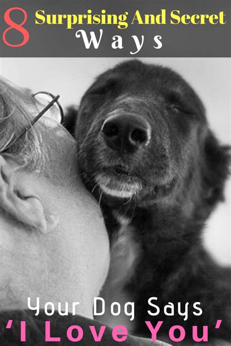 Surprising And Secret Ways Your Dog Says ‘i Love You Happy Dogs
