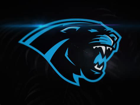 Carolina Panthers Rebrand Mascot Animal Symbolism Logo Design Art