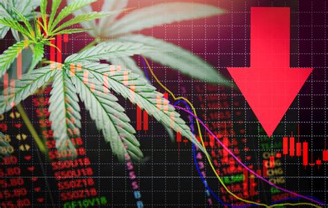 TLRY: Beware of These 3 Overvalued Cannabis Stocks
