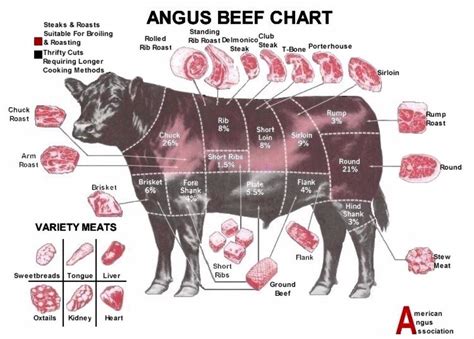 Buy Angus Beef Chart Butcher S Guide Inch X Inch Inch X