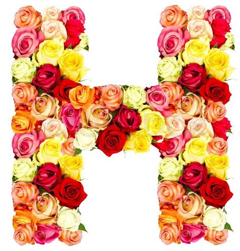 H Roses Flower Alphabet Stock Photo Colourbox