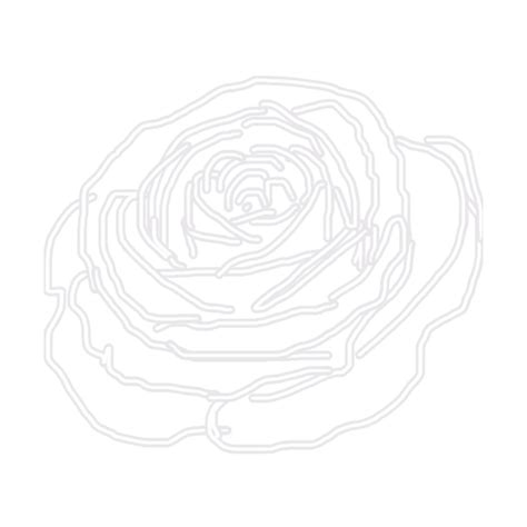 rose outline flower freetoedit sticker by stacy renee k