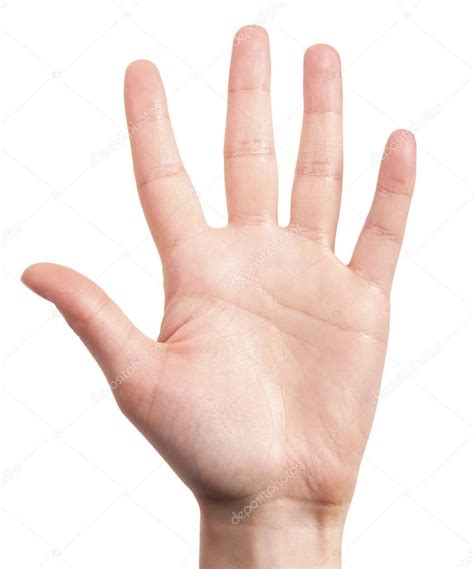 Hand Is Showing Five Fingers Isolated Stock Photo By ©boule1301 13085427