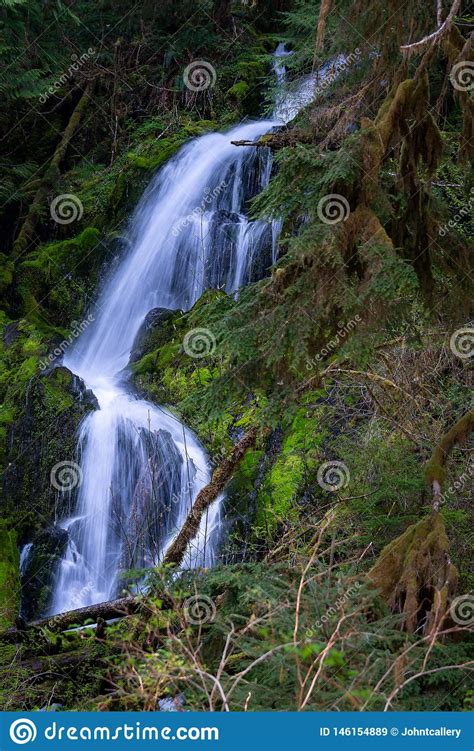 Erneuernder Schner Wasserfall Im Wald Stockbild Bild Von Draussen