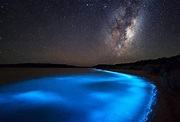 'Bahía Mosquito', una de las bahías más bioluminiscentes del mundo ...