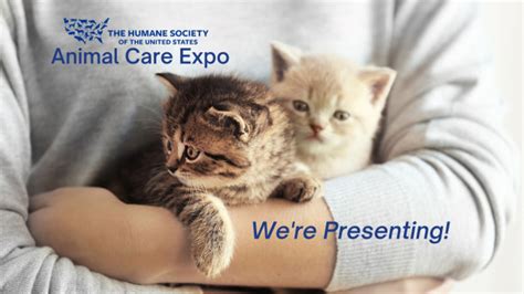 2023 Animal Care Expo National Kitten Coalition