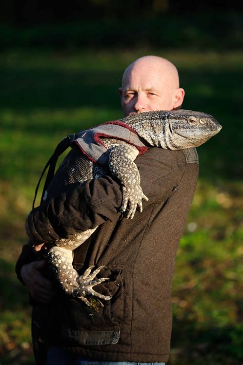 Man Told To Walk His Giant Pet Lizard On A Leash After It Scared Other